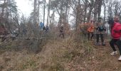 Trail Walking Fontainebleau - cabaret masson 10 février 2023  - Photo 2