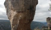 Tour Wandern Le Rozier - corniches du Mejean - Photo 2