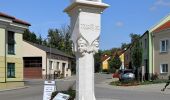 Percorso A piedi Gemeinde Gaubitsch - Panorama Wanderweg Gaubitsch - Photo 5