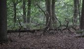 Tour Wandern La Hulpe - La Hulpe - Circuit Natura 2000, des sites qui valent le détour - Bw02 - Photo 2