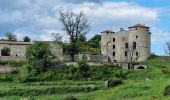 Tocht Stappen Vallées-d'Antraigues-Asperjoc - château de crau - Photo 2