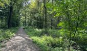 Trail Walking Raeren - Hauset 22,8 km - Photo 14