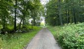 Randonnée Marche Oigny-en-Valois - en forêt de Retz_86_les Laies de la Poudrerie et de la Fosse aux Demoiselles - Photo 7