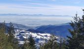 Tour Wandern Markirch - 2021-02-14 Marche Bagenelles Brezouard Fuste de Etoile - Photo 5