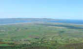 Randonnée A pied Unknown - Causeway Coast and Glens - 14 - Binevenagh - Photo 1