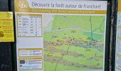 Percorso Marcia Fontainebleau - Sentier Denecourt 7 - Photo 1