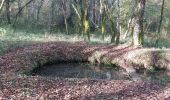 Randonnée Marche Coursac - grande boucle des lavoirs de coursac - Photo 10