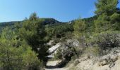 Trail Walking Buis-les-Baronnies - Malpertuis - Milmandre - Ubrieux 04.08.2021 - Photo 1