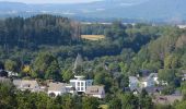 Percorso A piedi Niederelbert - Biotoplehrpfad - Photo 3