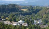 Tour Zu Fuß Niederelbert - Biotoplehrpfad - Photo 3