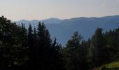 Tour Zu Fuß Kapfenberg - Romantischer Bründlweg - Photo 8