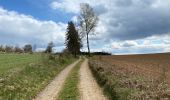 Tocht Stappen Vielsalm - Vielsalm Gouvy 17,5 km - Photo 7