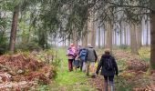 Randonnée Marche Tenneville - Erneuville - Photo 11