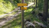 Trail Walking Colmars - lignin - Photo 15