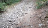 Trail Walking Le Malzieu-Ville - LE MALZIEU - APCHER  - Photo 17