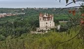 Tour Wandern Argelès-sur-Mer - massane - Photo 3