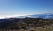 Tocht Stappen Monte - Pico do Arieiro au Pico Ruivo 1862 m (Rother n°34) - Photo 2