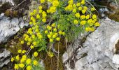 Tour Wandern Engins - Boucle au départ d’engins - Photo 17