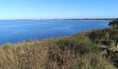 Tocht Stappen Saint-Gildas-de-Rhuys - pointe du grand Mont - Photo 9