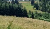 Tocht Stappen Lierneux - Lierneux- Regné terug via de oude trambaan - Photo 10