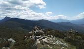 Trail Walking Campile - Boucle de Monte Castellare - Photo 6