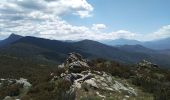Tour Wandern Campile - Boucle de Monte Castellare - Photo 6