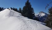 Tour Schneeschuhwandern Plateau-des-Petites-Roches - Pravouta 2022 - Photo 3