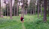 Tour Wandern Autrans-Méaudre en Vercors - Le Gros Martel par le trou de L'enfer - Photo 1