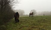 Tour Zu Fuß Nandrin - Les rochettes Bois des dames - Photo 7