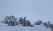 Excursión Senderismo Murol - Le tour de Beaune le froid  - Photo 14