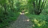Trail Walking Naveil - Circuit au lieu-dit Bordebeure Marcilly-en-Beauce - Photo 13