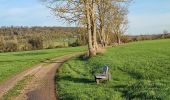 Tour Wandern Coussey - de Coussey à Vouthon  - Photo 9