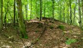 Trail Walking Perrogney-les-Fontaines - sur les hauts: Sommets de Haute Marne - Photo 1