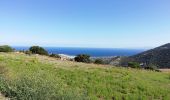 Tour Wandern L'Île-Rousse - balade au dessus de l Île rousse - Photo 15