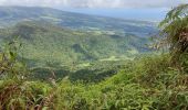 Tocht Stappen Le Lorrain - Morne Jacob au Panneau ONF - Photo 2