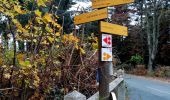 Tour Wandern Vaugneray - col de la luere, départ du stade de Vaugneray - Photo 10