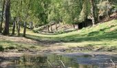 Tocht Te voet Aglasterhausen - Rundwanderweg Aglasterhausen 1: Falchengrund-Weg - Photo 10