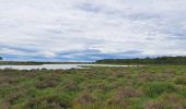 Tour Wandern Vic-la-Gardiole - Circuit des salines  - Photo 12