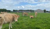 Tour Wandern Diksmuide - Blanquaart 19 km - Photo 9