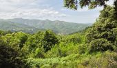 Tour Wandern Jaujac - coupe de jaujac - Photo 4