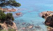 Tour Wandern Porto-Vecchio - 2023-06-24 Marche Plage Santa Giulia vers Palombaggia - Photo 1