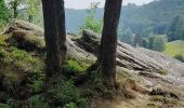 Trail Walking Bouillon - Marche ADEPS à Bouillon 8km500 - Photo 6