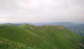 Randonnée Marche Albepierre-Bredons - Cantal - Col de Prat de Bouc Le Plomb du Cantal - 8.2km 450m 2h45 - 2019 07 06 - Photo 4