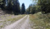 Randonnée Marche Autrans-Méaudre en Vercors - Autrans - Gève - Bec de l'Orient - La Buffe - Photo 19