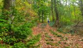 Tour Wandern Beauraing - Balade à Honnay - Beauraing - Photo 6