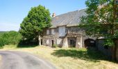 Trail Walking Ferrières-Saint-Mary - Cantal - Ferrières-Saint-Mary - Gorges de la Bouzaire - 7.7km 350m 2h50 - 2019 07 01 - Photo 5