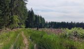 Trail Walking Vielsalm - cahay - bèchefa , retour  - Photo 14