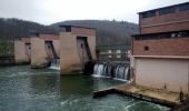 Tour Zu Fuß Neckargerach - Mittelberg-Weg - Photo 7