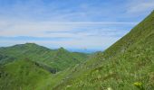 Tocht Stappen Lavigerie - 2024 RA Cantal Puy Mary - Photo 15