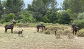 Tocht Stappen Tarascon - Chapelle Saint Gabriel - Photo 1